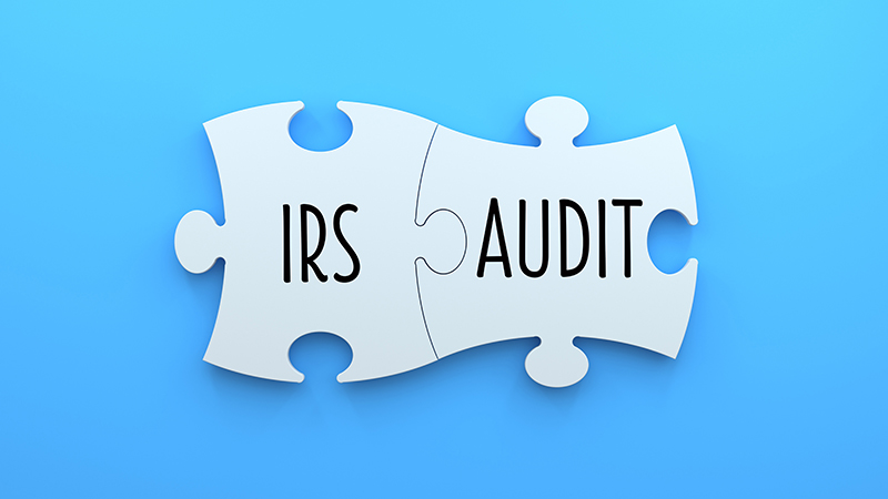 IRS and Audit printed on puzzle pieces