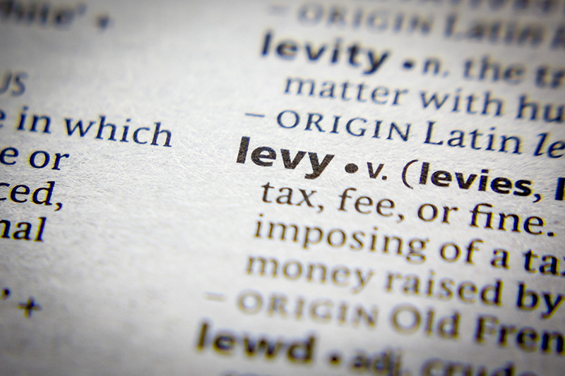 Picture of "Levy" definition in a dictionary