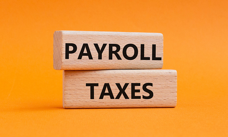 Payroll Taxes written on 2 wooden blocks