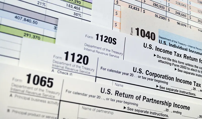 IRS Filed Substitute for Return