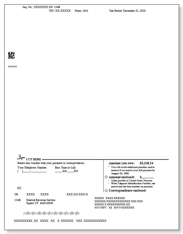 IRS Audit Letter CP134B - Sample 1 