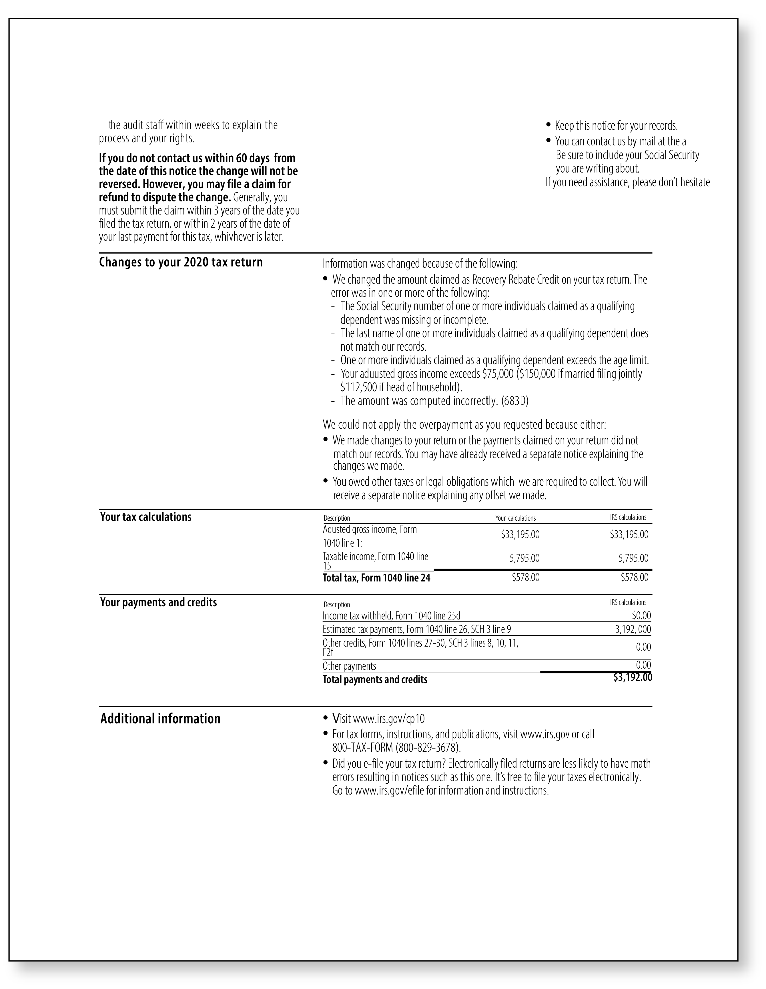 IRS Audit Letter CP10 – Sample 1