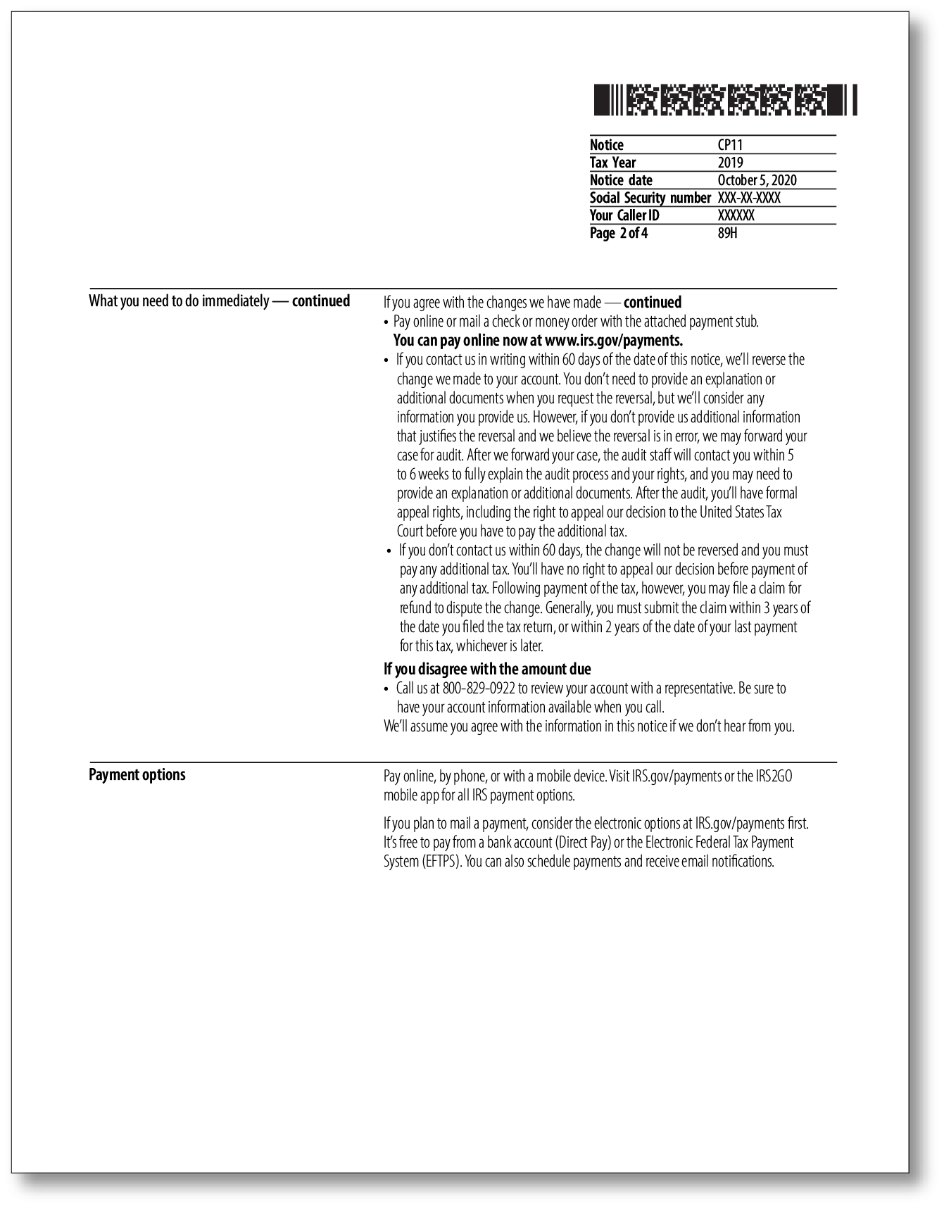 IRS Audit Letter CP11 - Sample 1