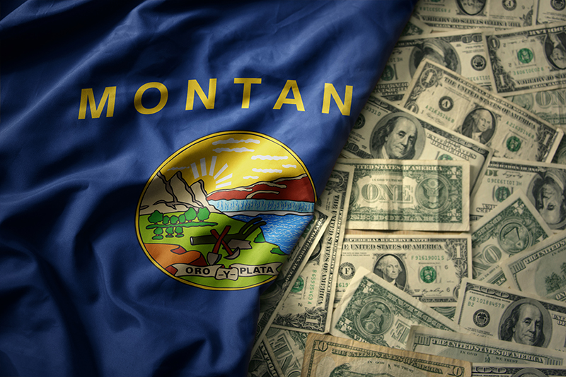 Montana flag on money background