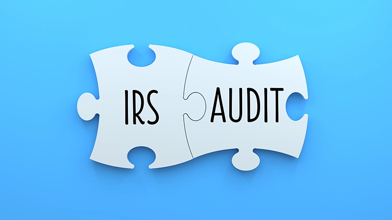 IRS and Audit printed on puzzle pieces